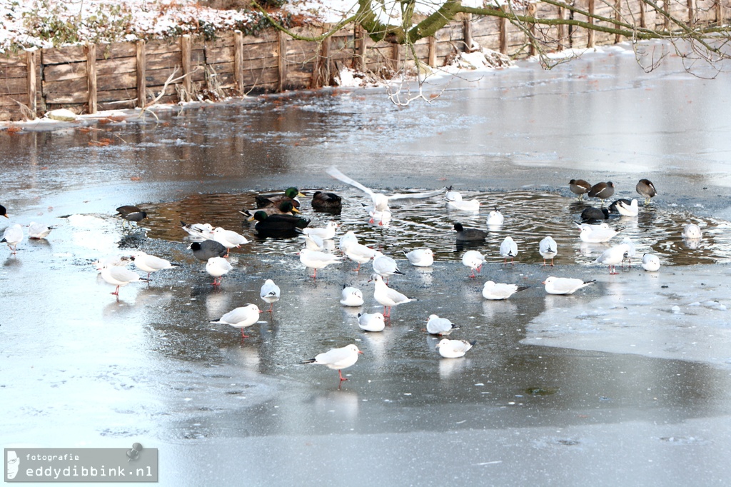 2010-12-03 Sneeuw, Deventer 001